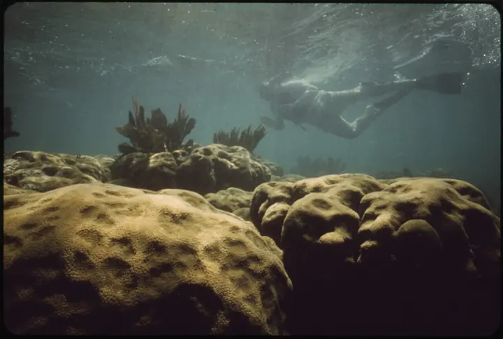 Stand-in photo for Bathtub Reef Beach, Stuart
