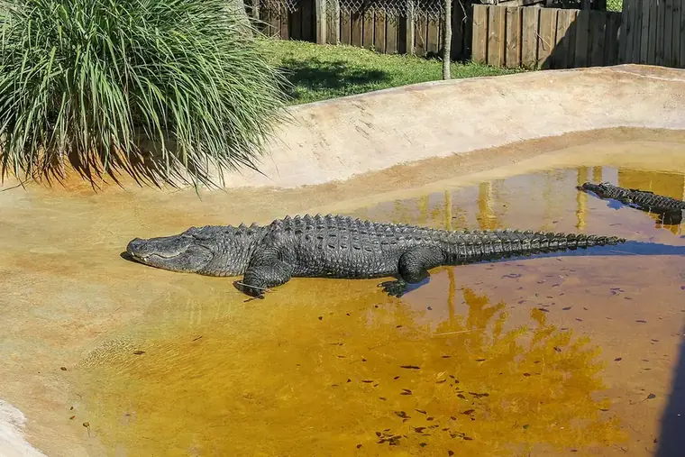 Stand-in photo for Oxbow Eco-Center & Preserve, Port St. Lucie
