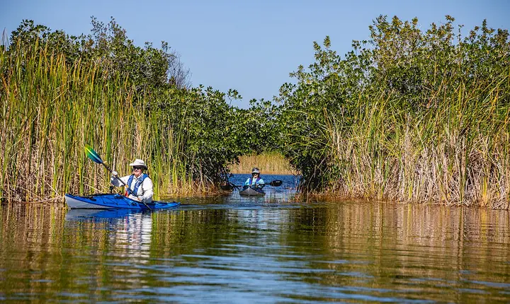 Stand-in photo for Savannas Recreation Area, Fort Pierce